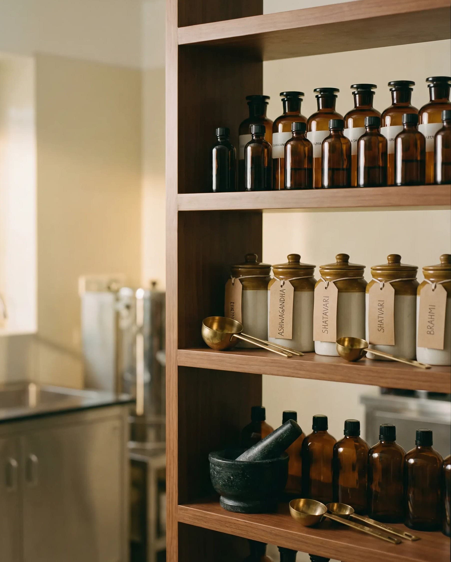 Ayurvedic herbs and laboratory setup at Shipra facility